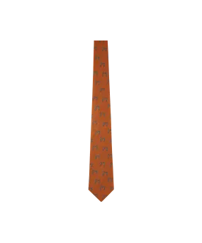 Ashford Silk Tie - Burnt Orange Hare