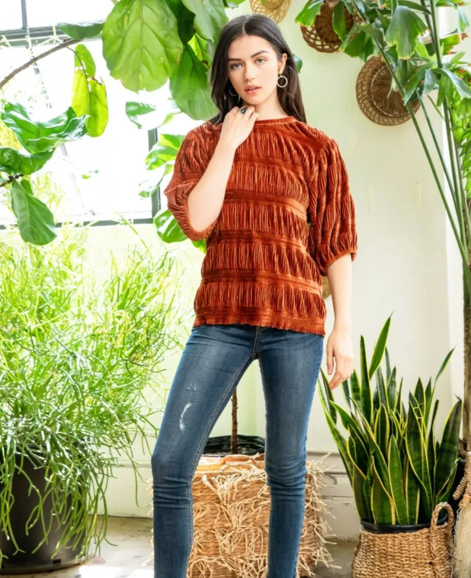 Velvet Short Sleeve Top
